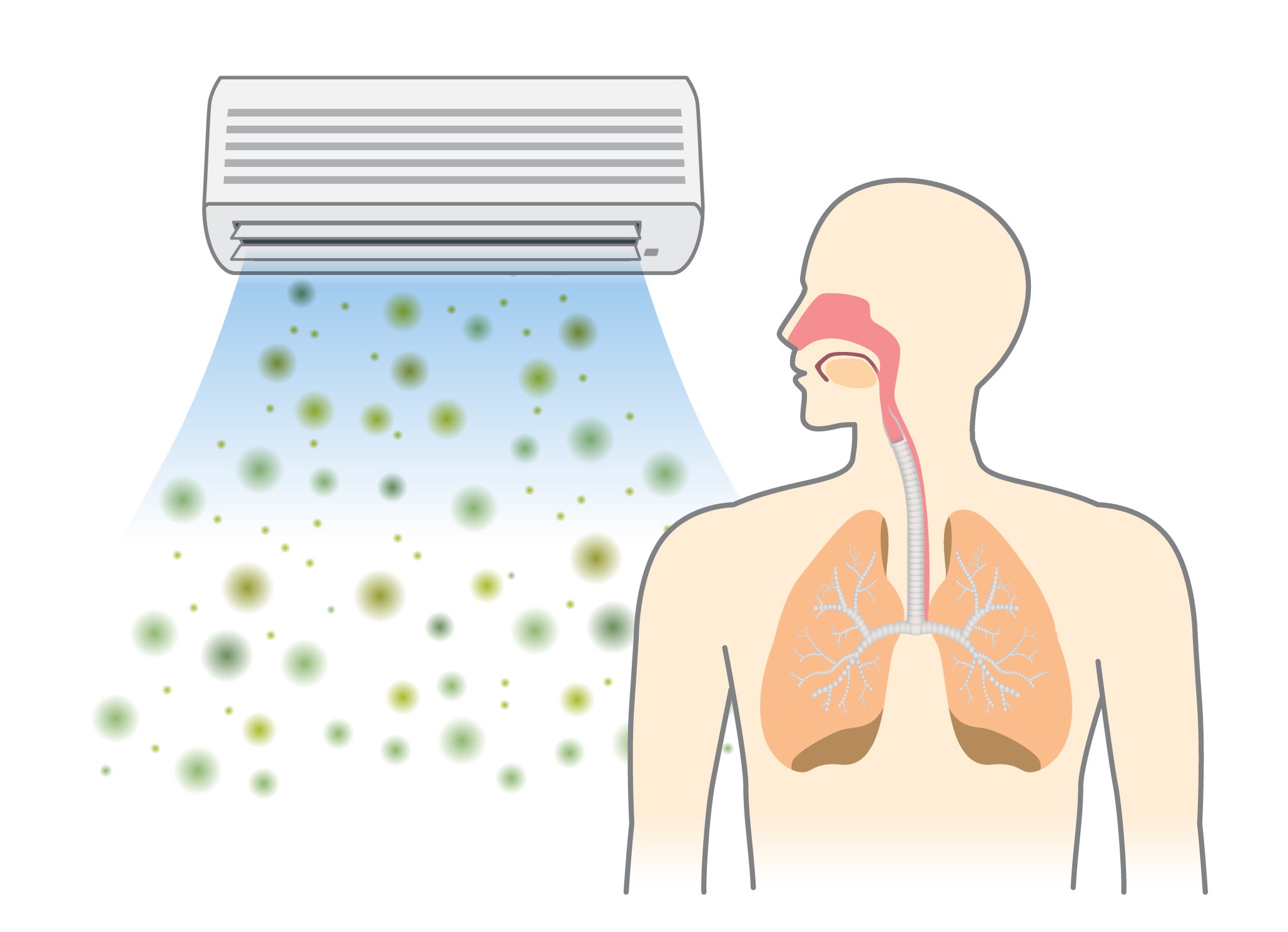 fral sc14 mini spot cooler