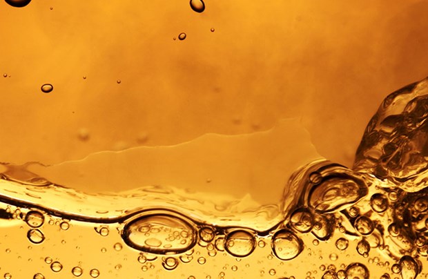 Hydrogenated Vegetable Oil HVO