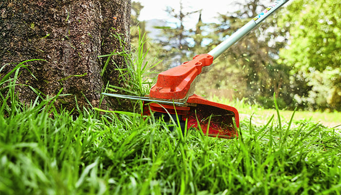 Gardening & Landscaping