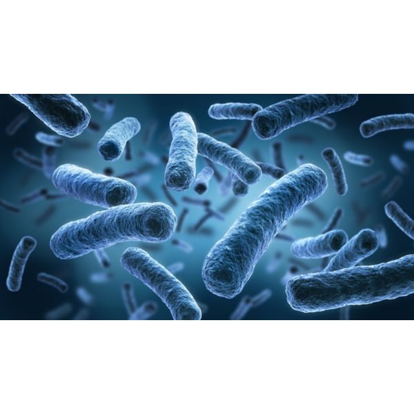 Legionella Awareness Training